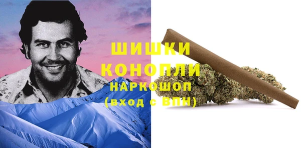 кокс Арсеньев