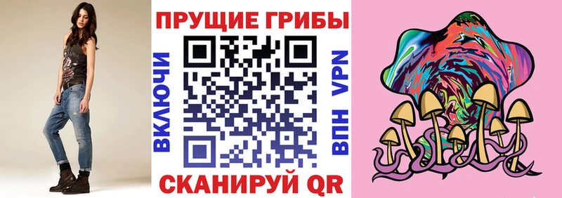 mega ТОР  хочу наркоту  Афипский  Галлюциногенные грибы Psilocybe 